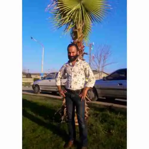 الا جان ای جانی